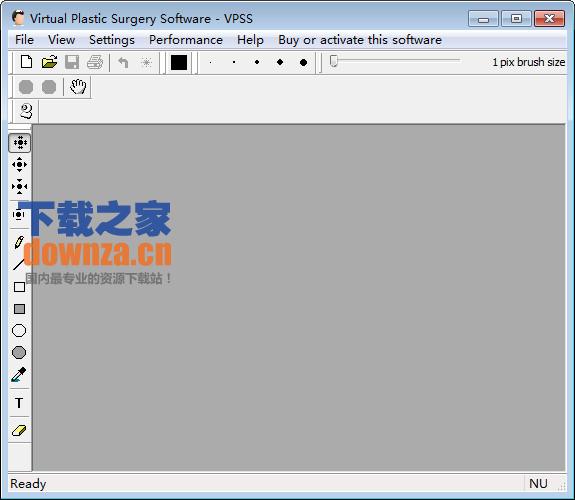 Virtual Plastic Surgery Software