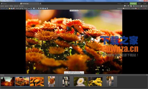 数码照片处理软件(Zoner Photo Studio Pro)