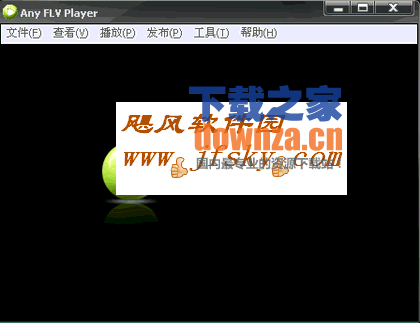 Any FLV Player FLV播放器