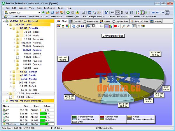 TreeSize Professional