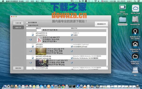 重复文件清理高手Mac版