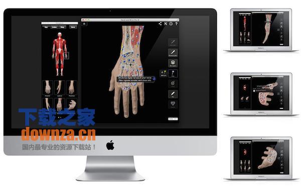 Hand & Wrist Pro III with Animations for mac