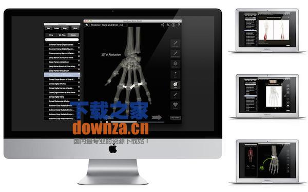 Hand & Wrist Pro III with Animations for mac