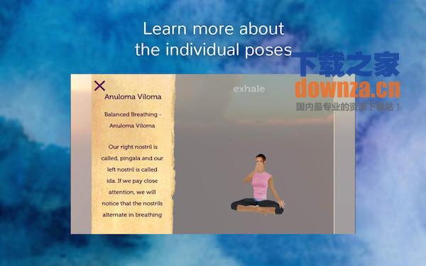 Yoga for Insomnia