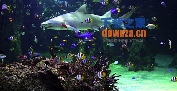 Aquarium live HD Mac版