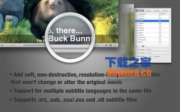 iSubtitle for mac