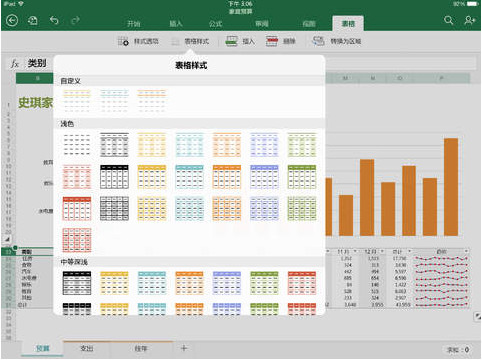 Excel iPad版