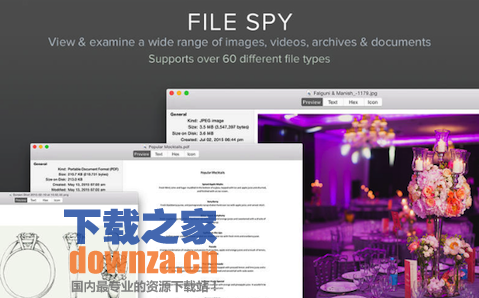 File Spy for Mac