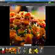 Zoner Photo Studio Pro(数字图像处理软件) v15.7 英文版
