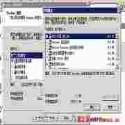 windows2003DNS服务所需i386目录文件