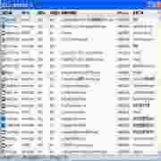 歪歪尔趣进程管理器v1.0绿色免费版