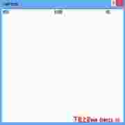 色色牌SWFToExev1.0绿色版(swf格式转换)