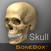 BoneBox for mac