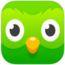 Duolingo iPad版