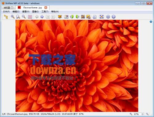 XnViewMP(强大的图像浏览软件) x64